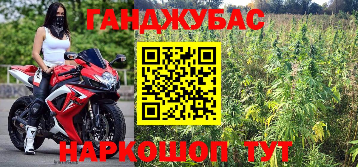 Каннабис сатива Борзя